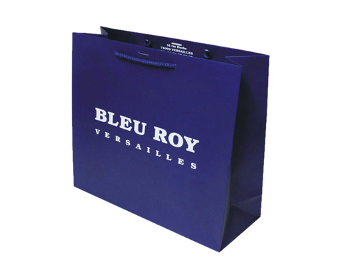 Harga yang bagus Tas Mendukung Pesta Kertas Biru Sedang Cetak Kustom Ramah Lingkungan Dengan Pegangan on line